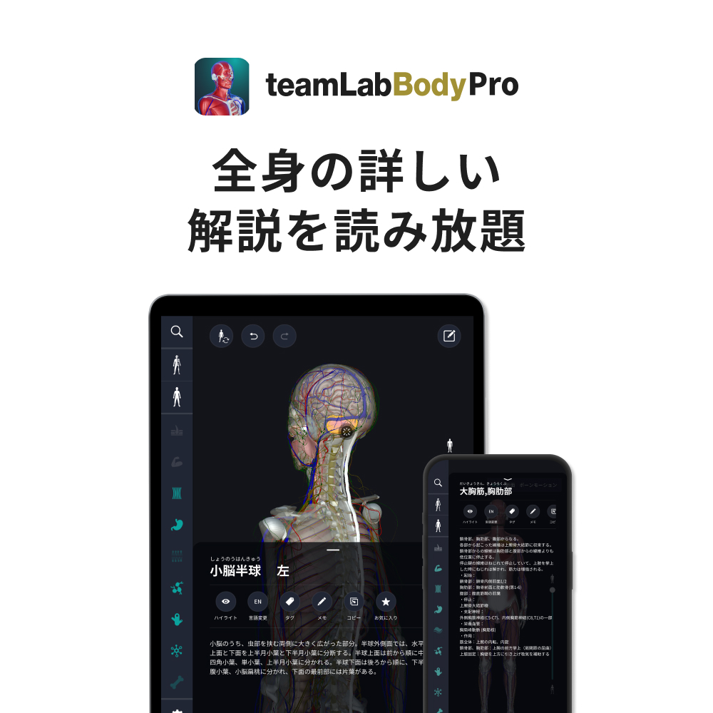 teamLabBody Pro Premiumプラン 1年分 【215001】