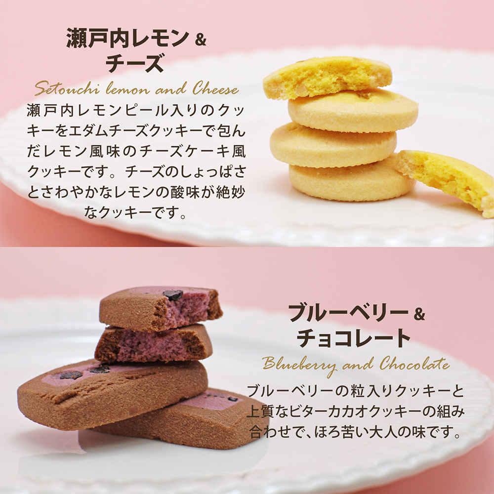 渋谷西村 プレミアムフルーツクッキー mini [渋谷西村フルーツパーラー道玄坂店]【036015】