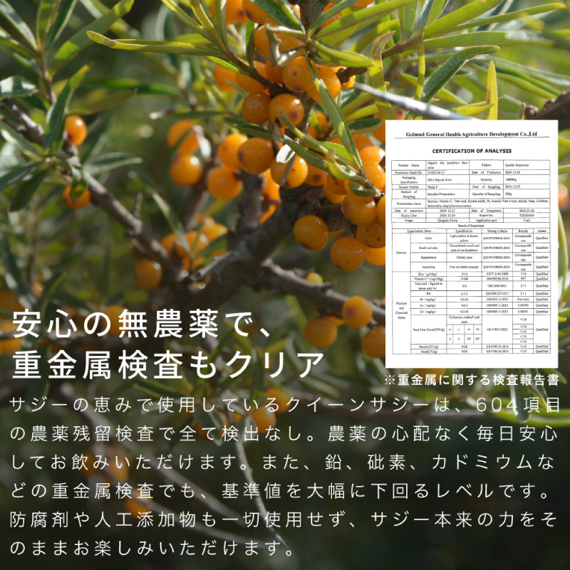 サジーの恵み 900ml 【136024】