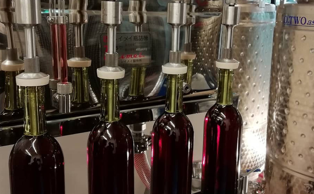渋谷ワイナリー東京 都市型ワイナリー瓶詰体験＆ワイン12本セット
