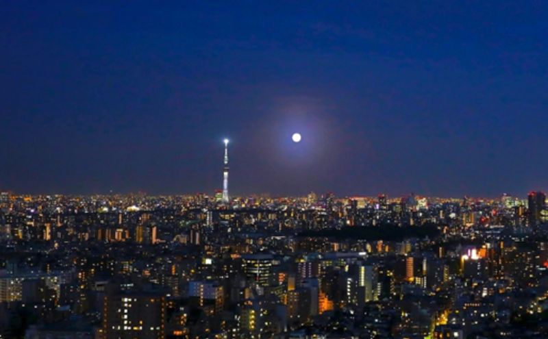 宿泊券 サンシャインシティ プリンスホテル パノラマフロア ツインルームA 1泊 朝食付き 宿泊ご招待券(1室2名さま)  ホテル チケット ペア 池袋 高層階 夜景 旅行 クーポン ホテル券 ギフト券 豊島区 東京