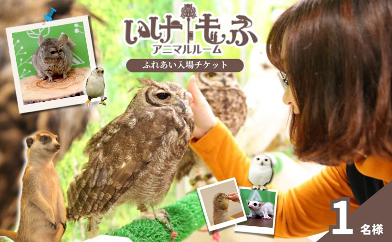 チケット 東京 ふれあい入場チケット 体験 ふくろう 爬虫類 チンチラ フクロモモンガ うさぎ モルモット ミーアキャット プレーリードッグ ヘビ カメ 写真撮影 ふれあい 豊島区 東京都