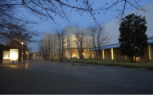 府中市美術館メンバーシップ（年間パスポート） [№5881-0121]