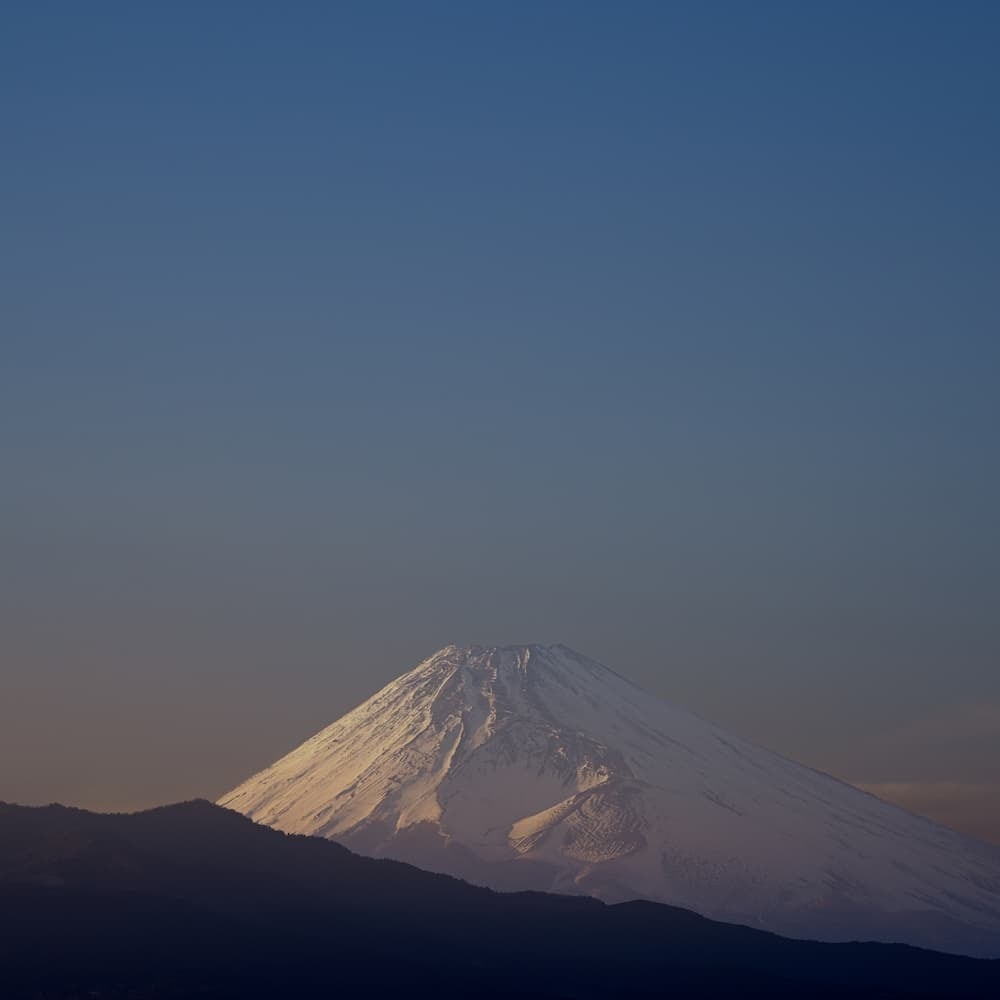 BEAST マルチコンディショニングセラム 100g