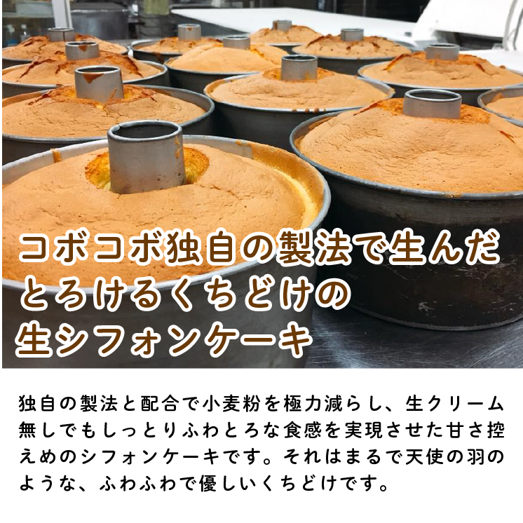 生シフォンケーキホール６号・プレーン