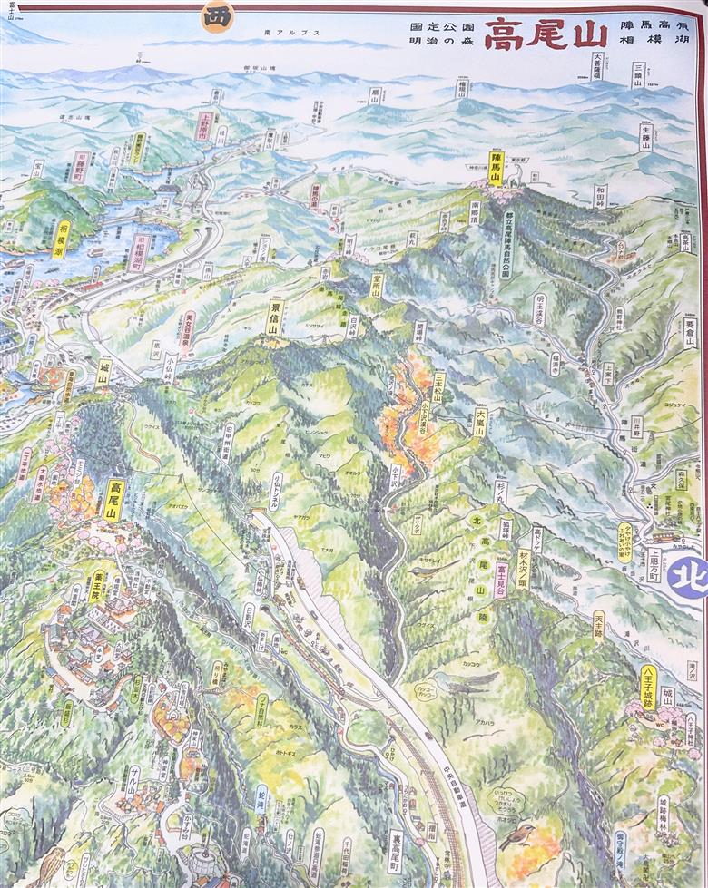 高尾山散策絵図