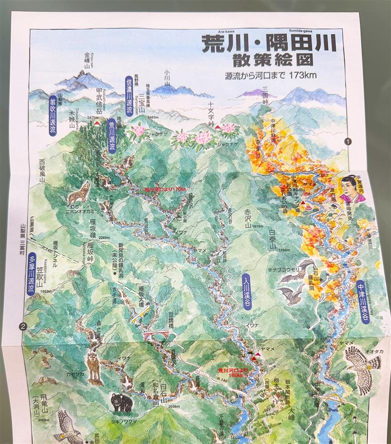 荒川・隅田川散策絵図