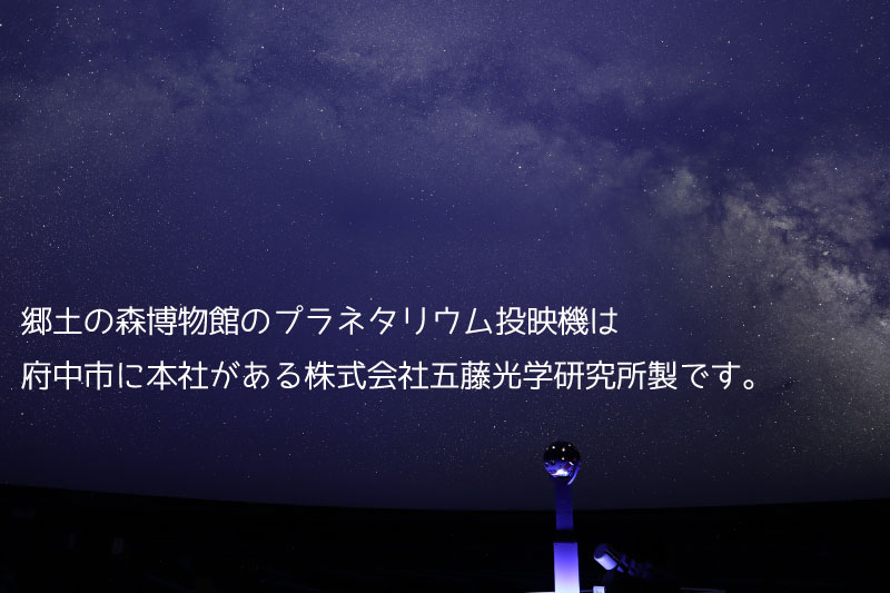 府中市郷土の森博物館・プラネタリウム観覧券（入館券付き）１０枚セット（こども用）