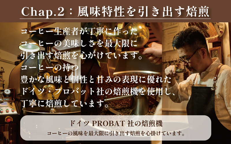 COFFEA EXLIBRIS スペシャルティコーヒー 250ｇ×4種セット【コーヒー豆】 コーヒー豆