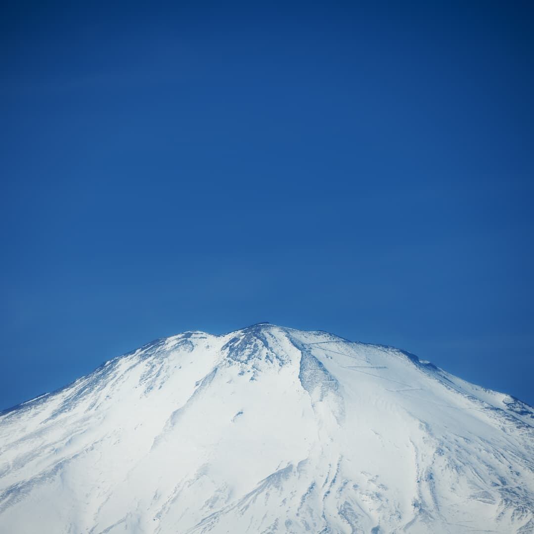 BEAST マルチコンディショニングセラム 30g