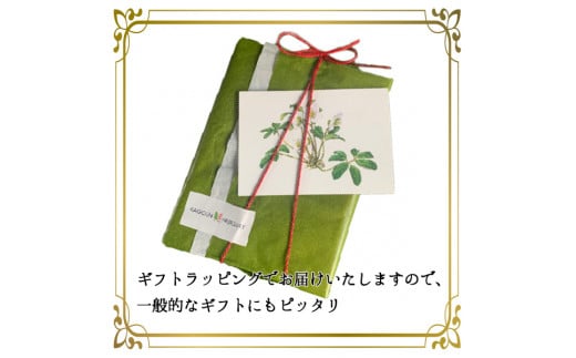 花郷園オリジナル【花咲くハーバリウム　クリスマスローズ３本セット（台座お皿付き）】