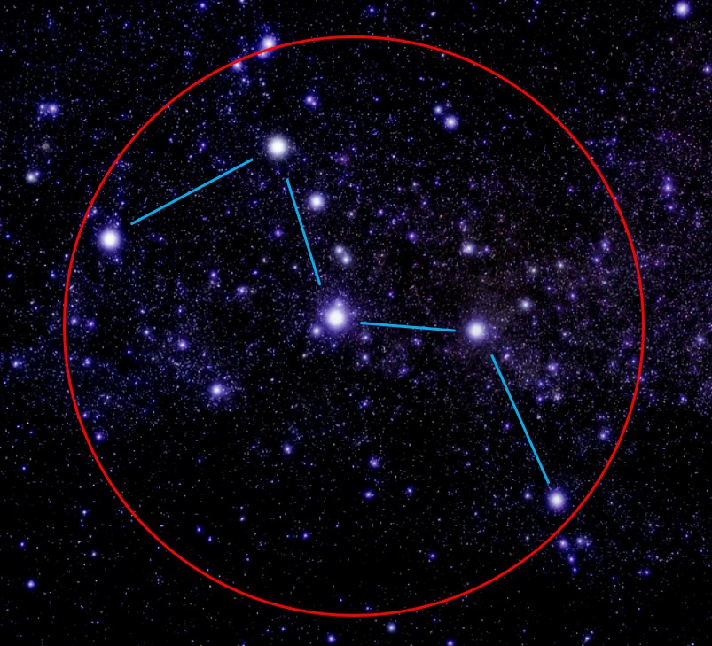 【予約販売　2026年2月中旬発送予定】スーパーワイド双眼鏡 4.5倍 視界14.6度   StarCruise425【双眼鏡　望遠レンズ】