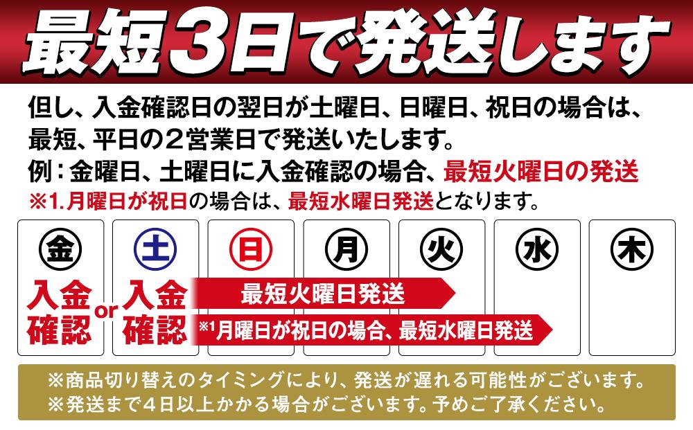 キリンビール キリンラガービール　500ｍｌ１ケース（24本入）（横浜工場製）