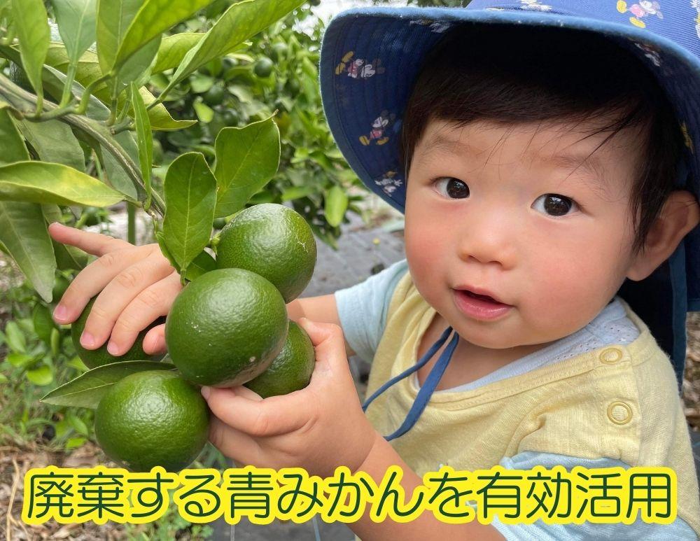 よこはまの森洗剤　3kgボックス