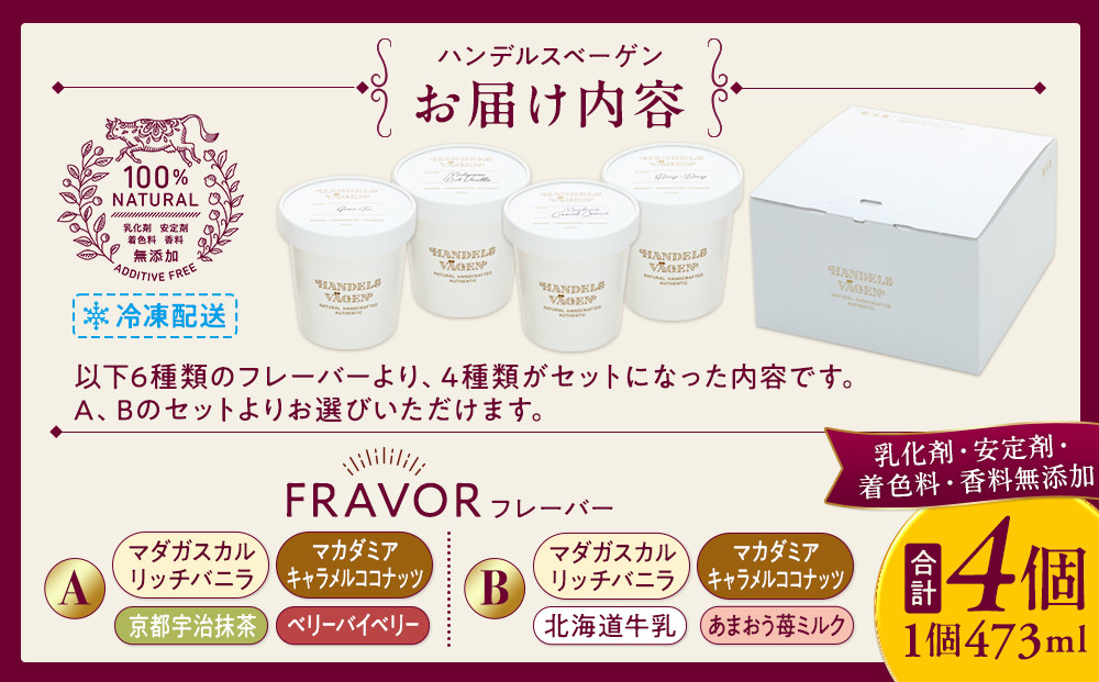 A:ハンデルスベーゲン無添加アイスクリーム/お得なパーティーセット！パイントサイズ４個入り（マダガスカルリッチバニラ・マカダミアキャラメルココナッツ・京都宇治抹茶・ベリーバイベリー）パーティー 家族 大容量 バニラ キャラメル 抹茶 ベリー ヨーグルト