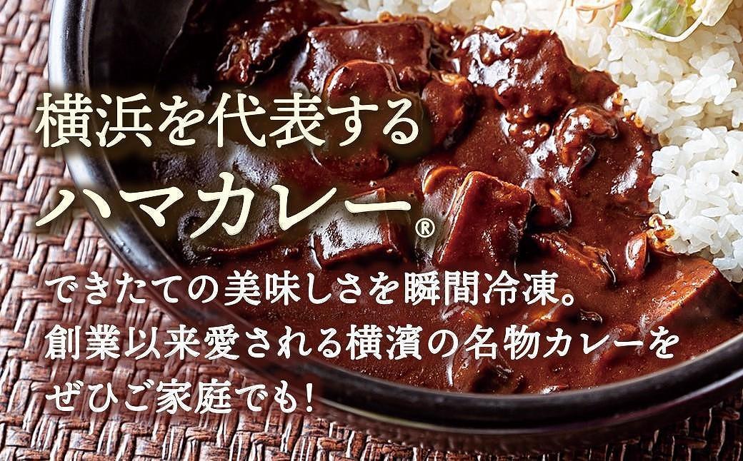 サンアロハ「ハマカレー®　ビーフ　230g×4個パック」