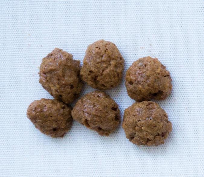 ＜ラ・マーレ・ド・チャヤ＞クッキーM