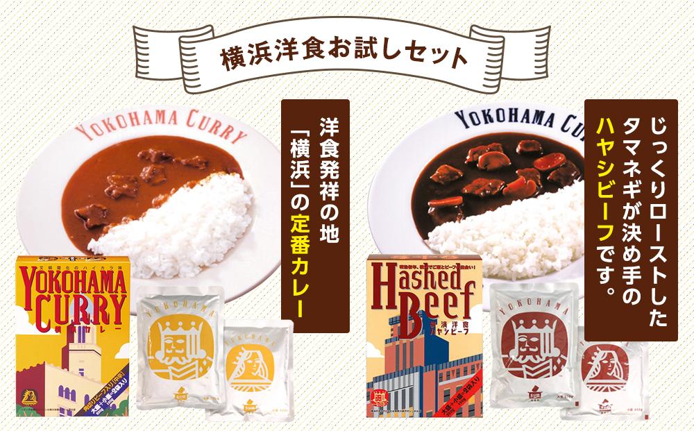 洋食発祥の地　横濱カレー＆ハヤシビーフセット各10箱（1箱に大盛250g・小盛150g）