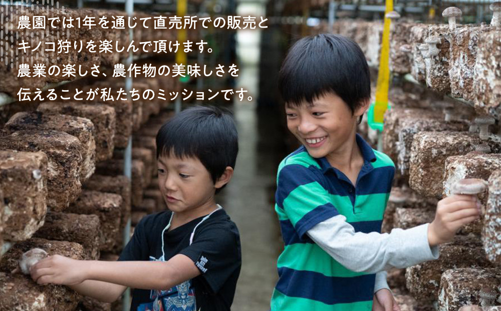 永島農園  きのこ狩り体験チケット １人分