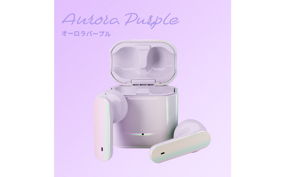 【オーロラ/パープル】Bluetooth 5.3 完全ワイヤレス ステレオイヤホン インナーイヤータイプPG-BTE18TW