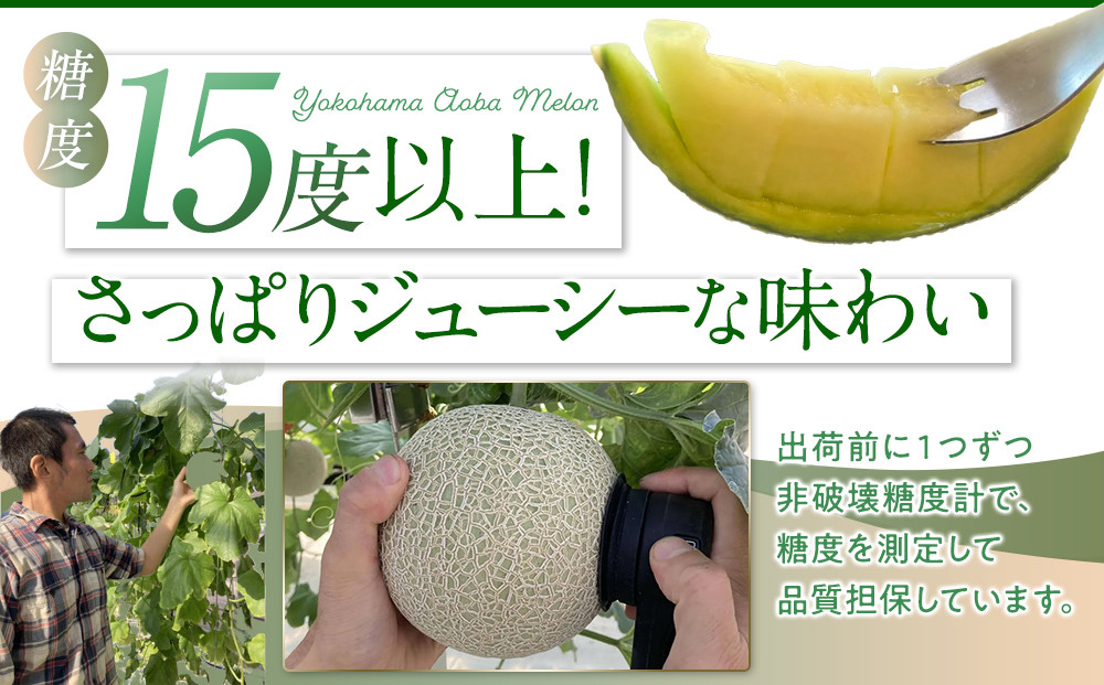 糖度１５度以上！横浜青葉メロン１玉（赤肉または青肉）（7月下旬から発送開始）