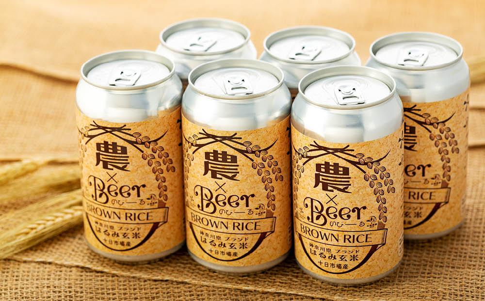 TDM 1874 Brewery　クラフトビール　農×Beer（のびーる）はるみ玄米（350ml×6本）【お酒・地ビール・酒】