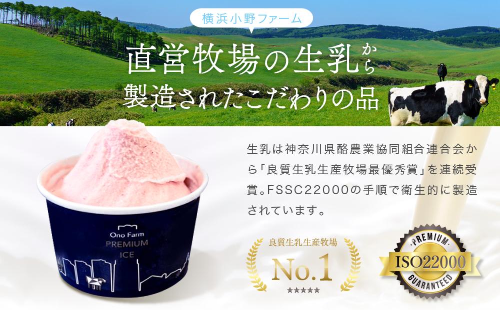 牧場直送ご当地アイスセット（5種10個入）〈小野ファーム〉
