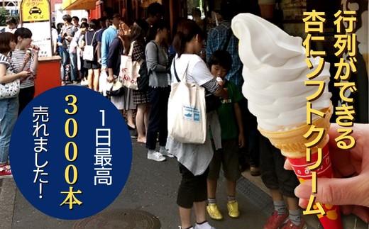 杏仁ソフトクリーム10個入り