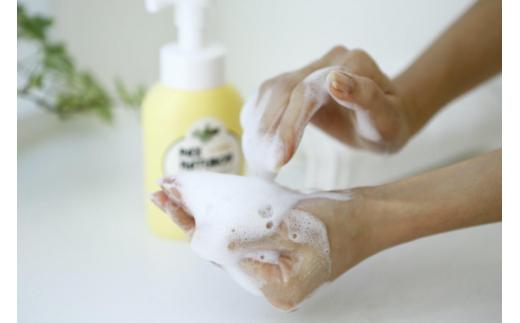 パックスナチュロン　ハンドソープセット（太陽油脂）