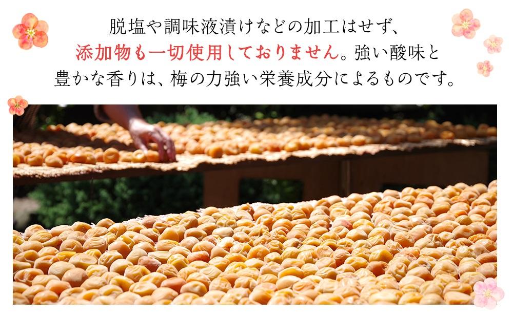 杉田梅の白梅干　プラパック入り　１個