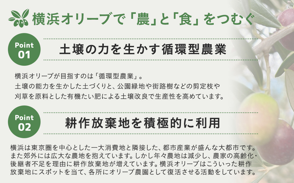 横浜オリーブ　No.7ソラレヨコハマ　エクストラバージンオリーブオイル120ml