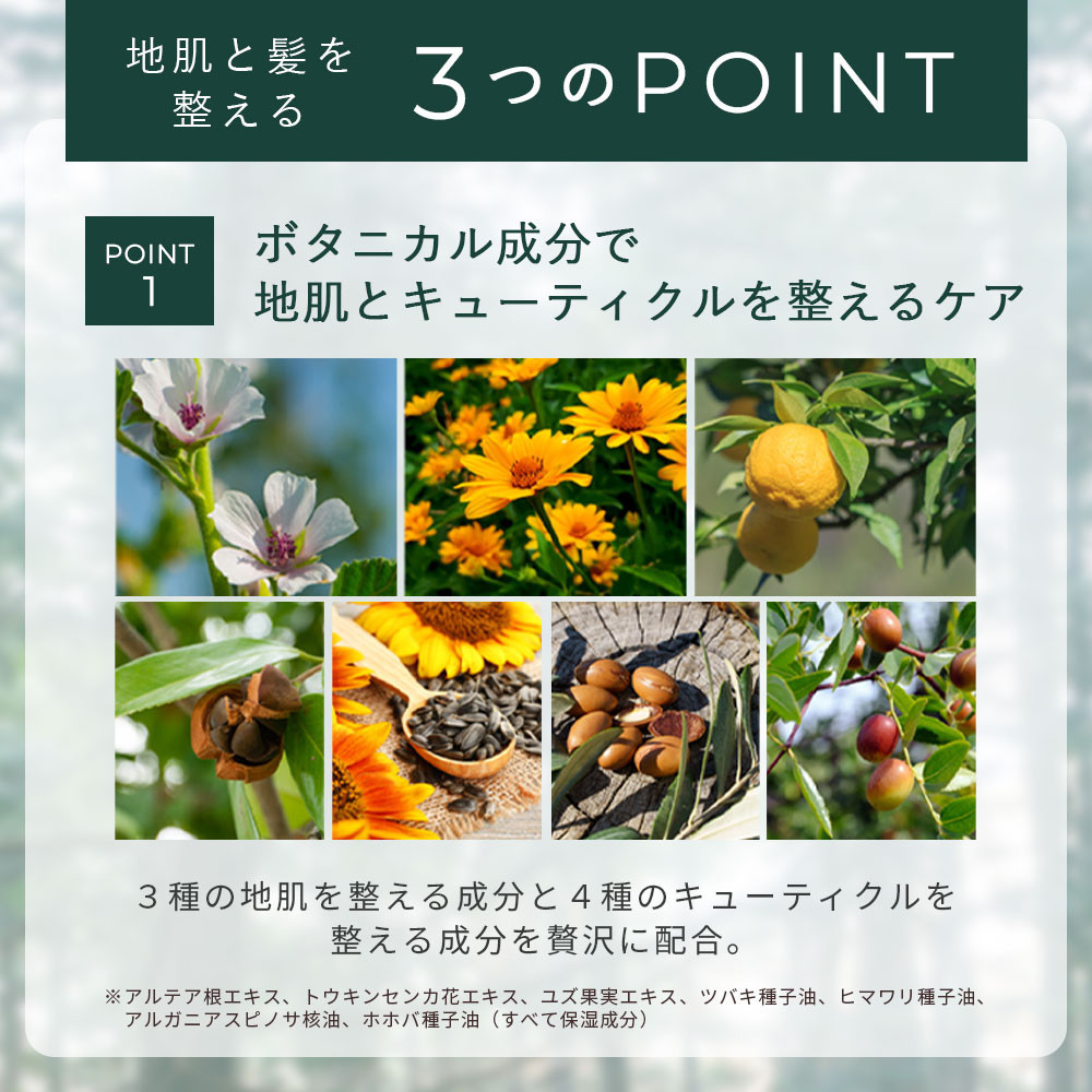 ナイトシャンプー＆トリートメントセット 各300mL｜ヘアケア 美髪 酒粕エキス配合 天然成分 美容｜人気 おすすめ 送料無料｜神奈川県 横浜市