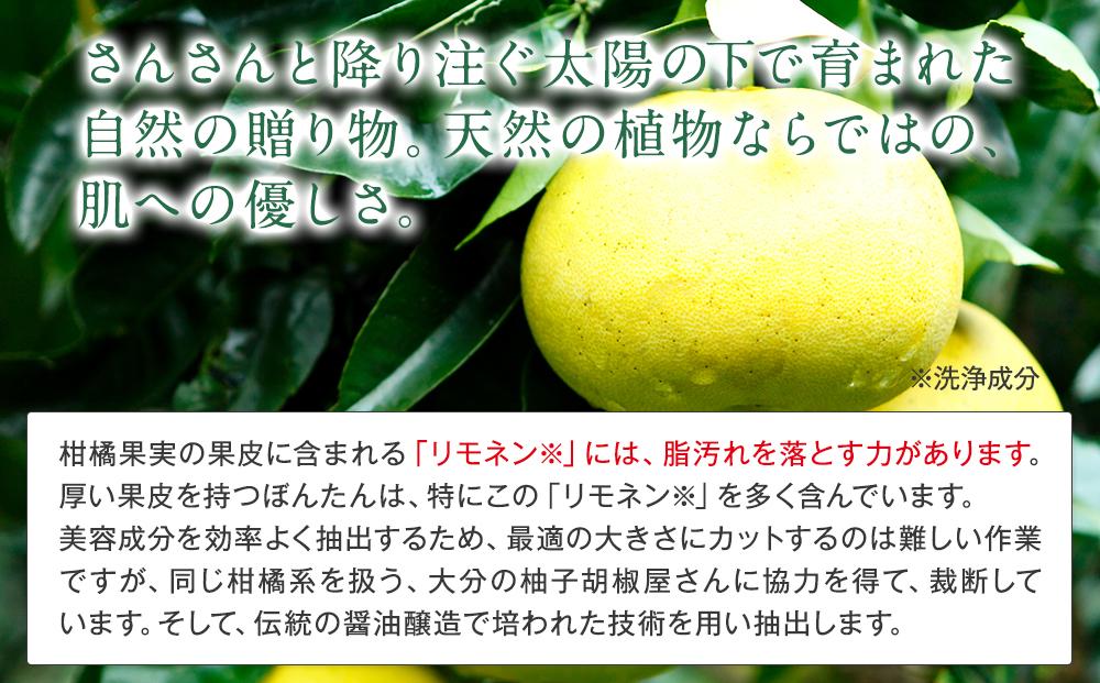 然-しかり- ぼんたんクレンジング