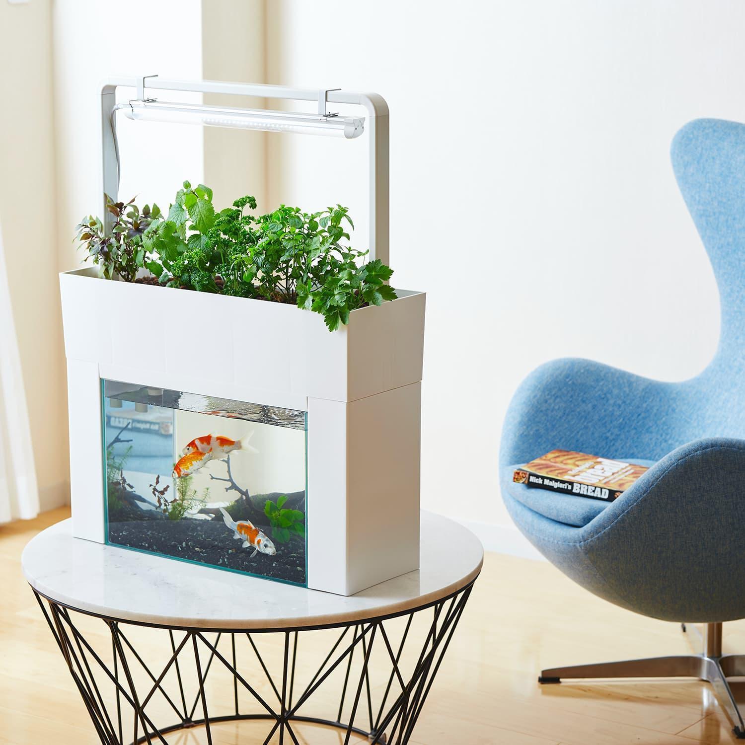 おさかな畑 アクアスプラウトSV 【ホワイト】 アクアポニックス 水耕栽培 キット（60HZ）