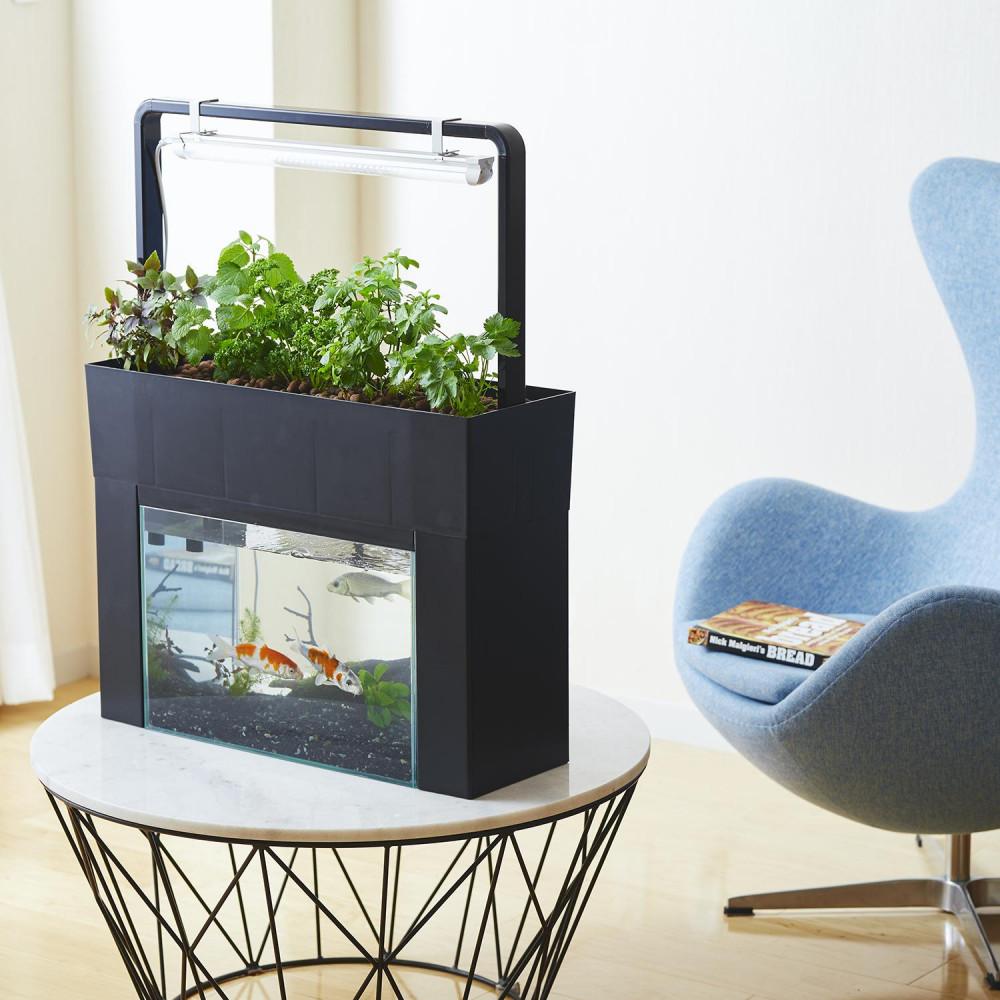 おさかな畑 アクアスプラウトSV 【ブラック】 アクアポニックス 水耕栽培 キット（50HZ）