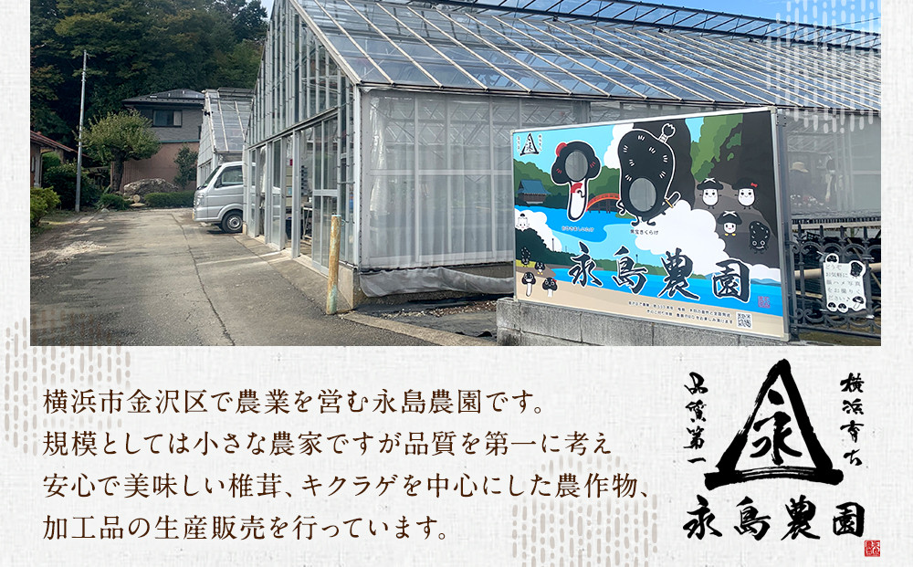 永島農園　おひさま干しキクラゲ70ｇ入り袋 ×2袋