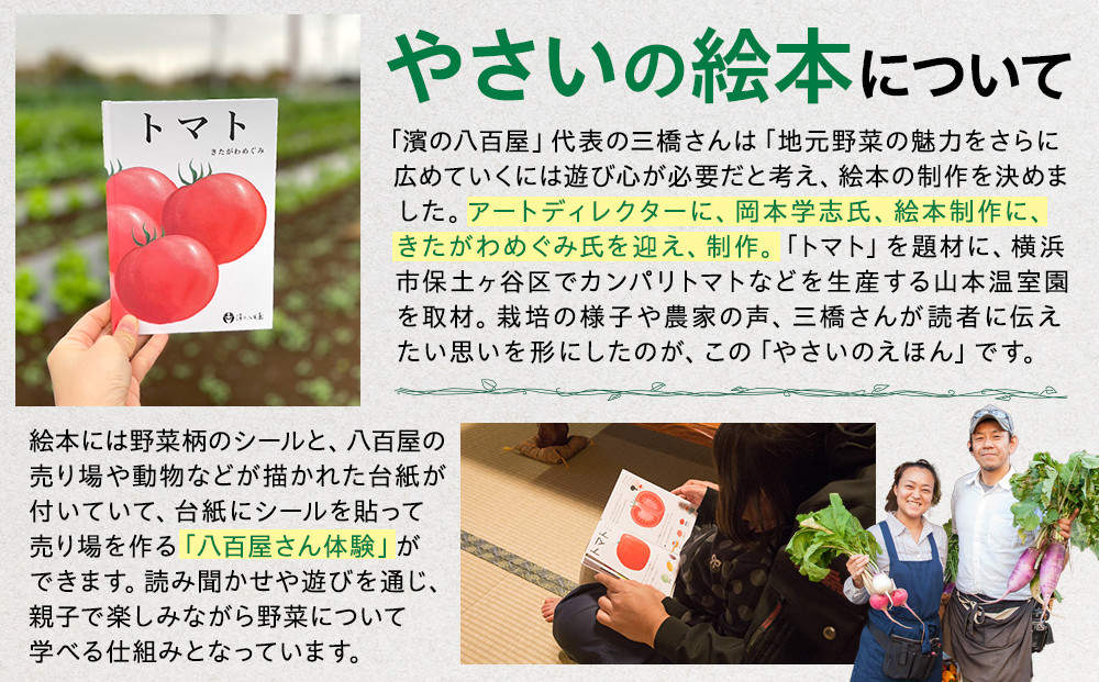 【濱の八百屋】やさいのえほんセット（8～12種類）