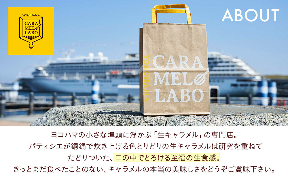 キャラメルショコラサンド　8個入