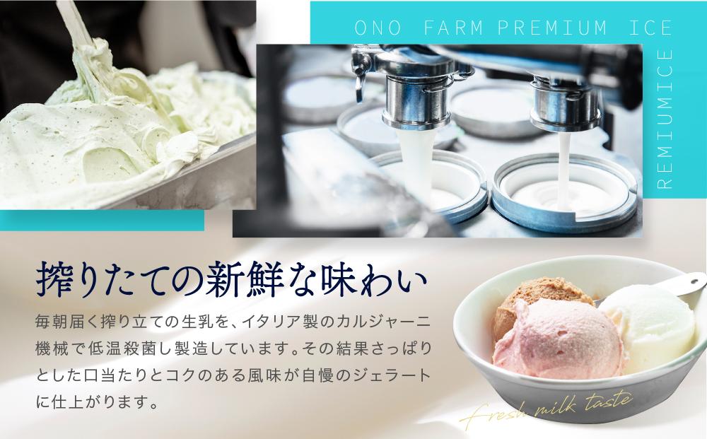 牧場直送ご当地アイスセット（5種10個入）〈小野ファーム〉