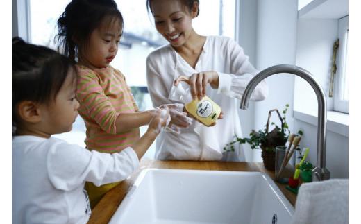 パックスナチュロン　ハンドソープセット（太陽油脂）