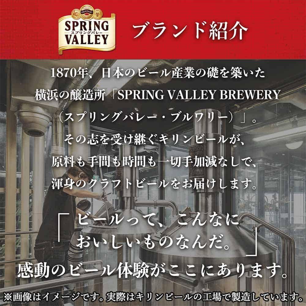 キリン SPRING VALLEY（スプリングバレー） 豊潤ラガー496　500ml　1ケース（24本入）【横浜工場製】