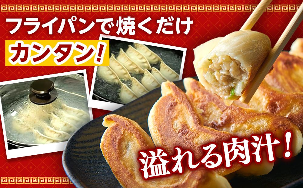 横浜大宝餃子 もちもち肉汁 ジャンボ餃子 60個（30×2）｜国産食材使用 冷凍餃子 ギョーザ 焼き餃子 お取り寄せ 中華総菜 中華 ギフト｜人気 おすすめ 送料無料｜神奈川県 横浜市