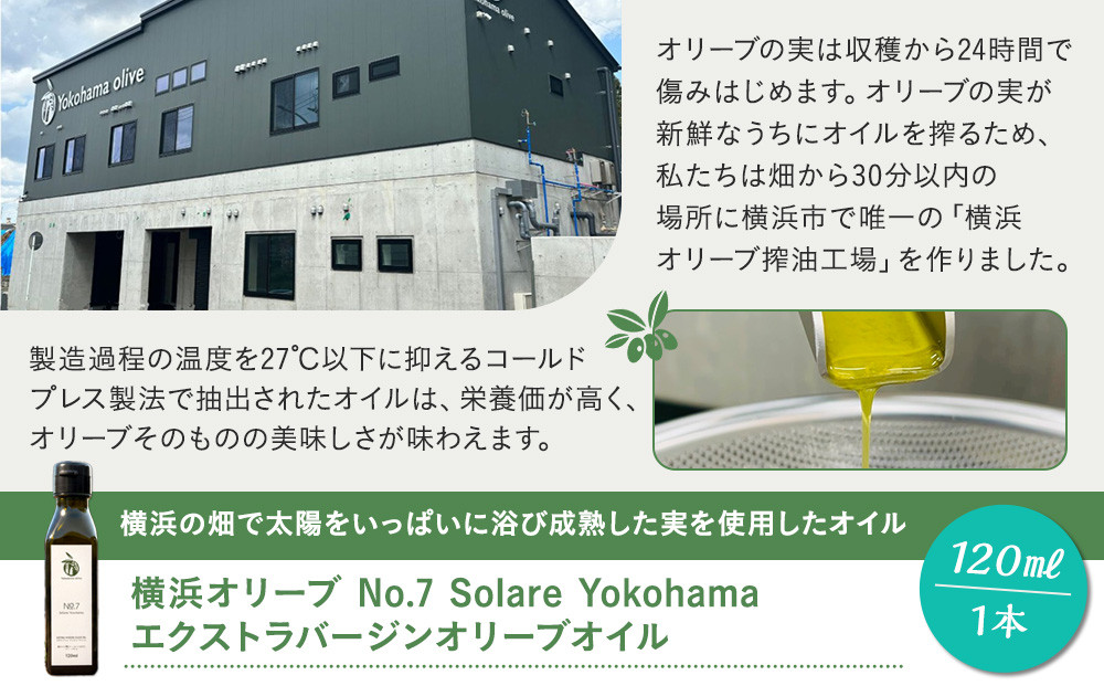 横浜オリーブ　No.7ソラレヨコハマ　エクストラバージンオリーブオイル120ml