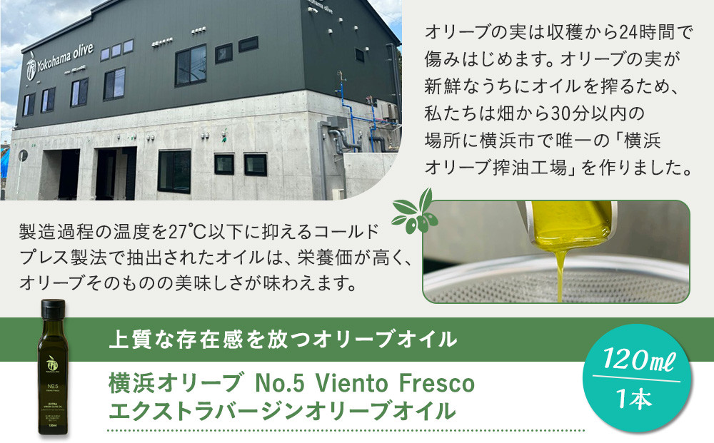 横浜オリーブ　No.５ビエントフレスコ　エクストラバージンオリーブオイル120ml