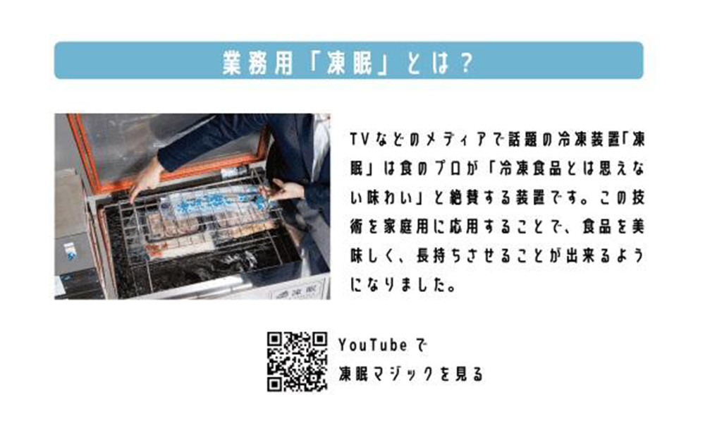 凍眠マジック 家庭用 急速冷凍庫｜高鮮度保持 時短 凍結 冷凍庫 冷凍保存 凍眠 SDGs 人気 おすすめ 送料無料｜神奈川県 横浜市