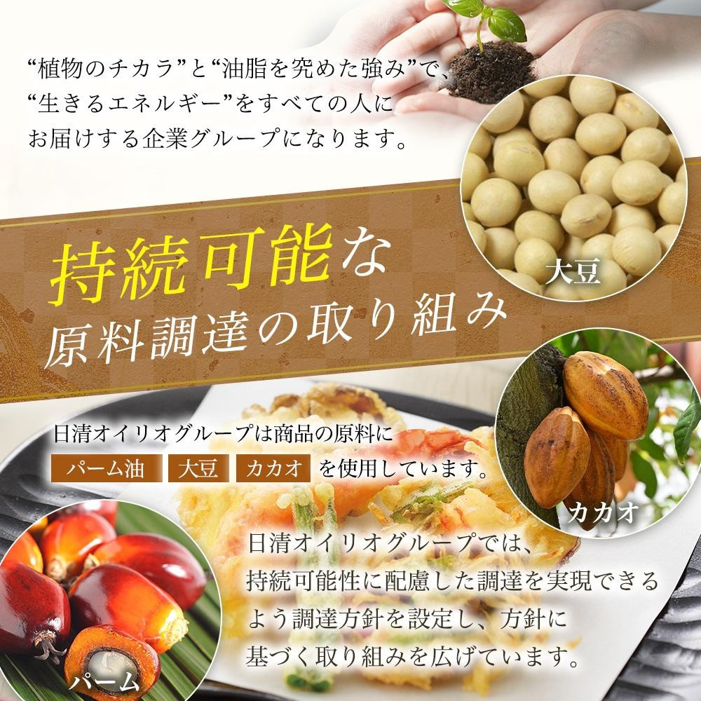 日清サラダ油8ｋｇＢＩＢ