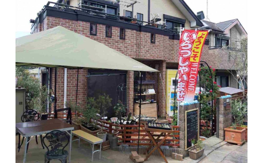 陶芸体験(電動ろくろ）ペアチケット　かき氷・パンケーキも楽しめるアトリエカフェで体験！