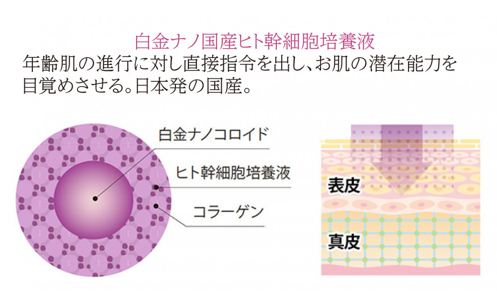 ストレピア　プラチナリフティクリームセット
