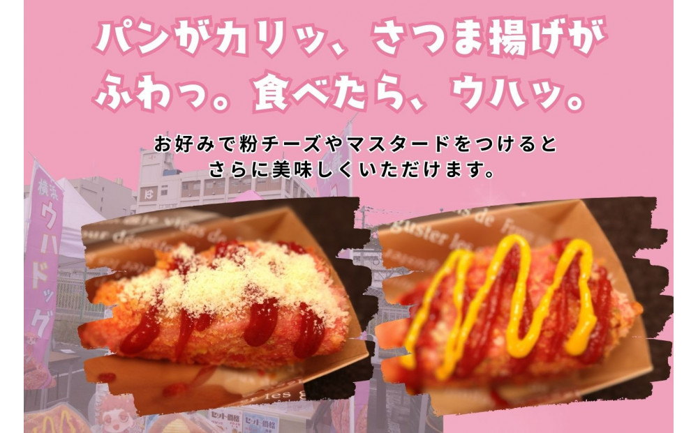 横浜ウハドッグ