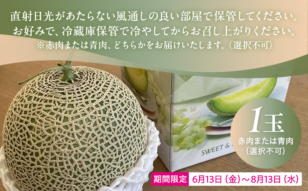 糖度１５度以上！横浜青葉メロン１玉（赤肉または青肉）（7月下旬から発送開始）